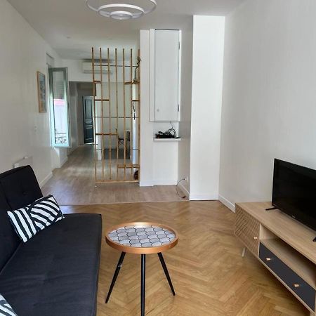 Grand Appartement Fontana ニース エクステリア 写真